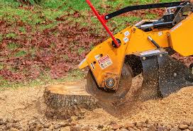 Best Fruit Tree Pruning  in Coatesville, PA